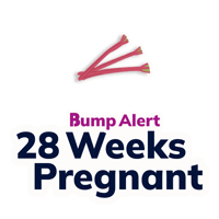 Pregnancy Expecting Sticker by The Bump