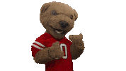 cornell university touchdown Sticker