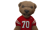 cornell university touchdown Sticker