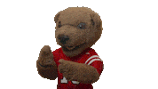 cornell university touchdown Sticker