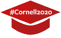 Class Of 2020 Sticker by Cornell University