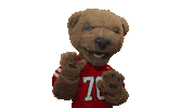 cornell university touchdown Sticker