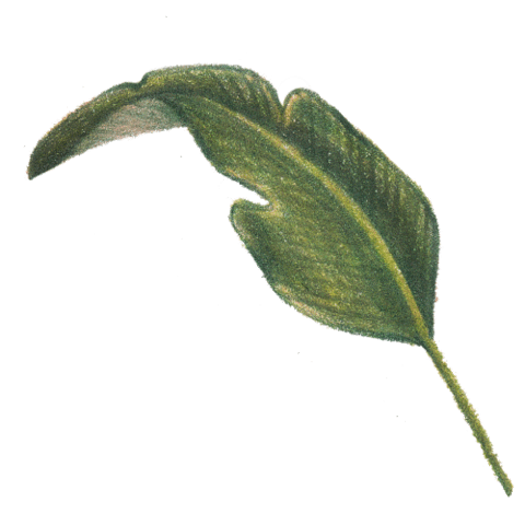 Leaf Greens Sticker