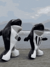 Seria A Santos Fc GIF