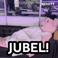 Celebration Pig GIF by SPORT1
