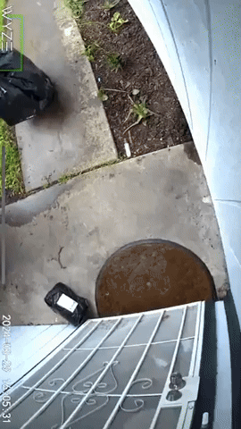 Thief Disguised as Trash Bag Steals Package
