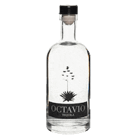 Octaviotequila octavio octaviotequila Sticker
