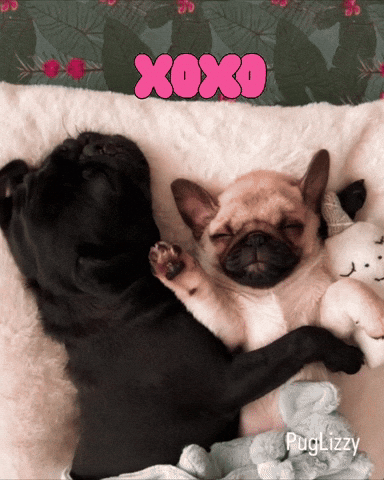 I Love You Xoxo GIF