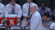miamihurricanes sports college ncaa miami GIF