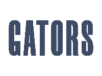 Class Of 2025 Sticker by Allegheny College