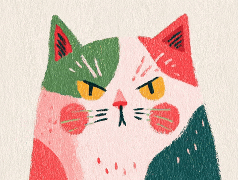 Cat No GIF by Clemens Posch