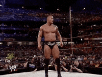 dwayne the rock johnson wrestling GIF by WWE