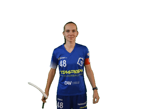 Floorball Sticker by Český florbal