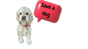 Save A Dog Sticker by Camp Cocker Rescue
