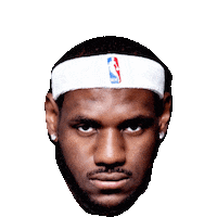 lebron james basketball Sticker