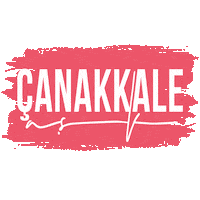 Ask Sticker by mertsayilgan