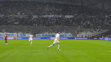 Ligue 1 Win GIF by Olympique de Marseille