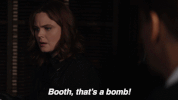 booth brennan GIF by Bones