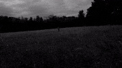 Black And White Video GIF by Sharon Van Etten