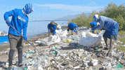 Earth Day GIF by 4ocean