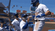Regular Season Sport GIF by MLB
