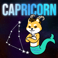 Zodiac Sign Crypto GIF by Dogelon Mars