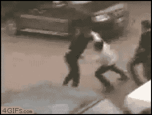 lokke3 giphyupload boxer street fight GIF
