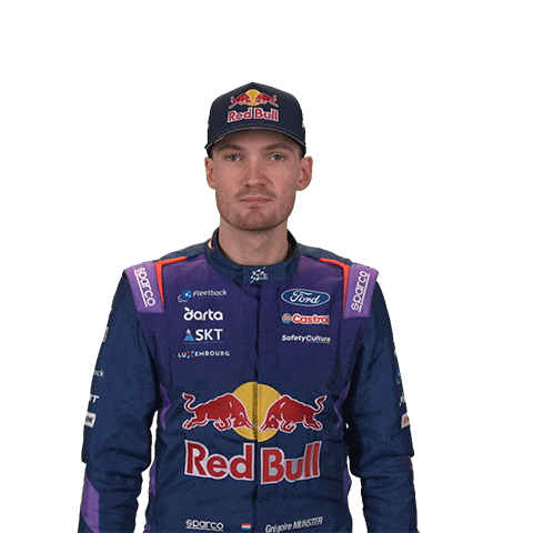 Ford Winner Sticker by FIA World Rally Championship