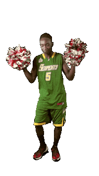 Basketball Go Sticker by ACSL - Austrian College Sports League