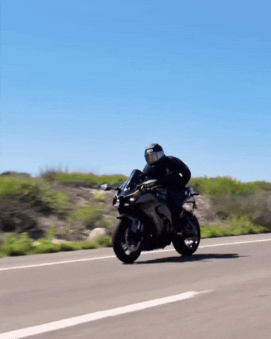 Interspacemonkey interspacemonkey phantomsociety quackerz GIF