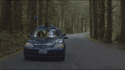 Big Scary Monsters Florida GIF by bsmrocks