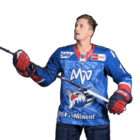 Reichel Sticker by Adler Mannheim