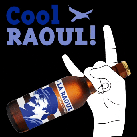 LaRaoul59 giphyupload cheers beers sante GIF