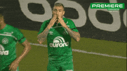 Serie B GIF by Canal Premiere