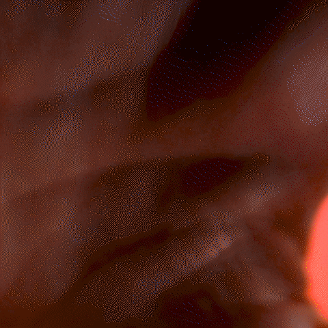 Bundesliga F95 GIF by Fortuna Düsseldorf