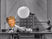Trump Man GIF by Anne Horel