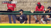 Ny Yankees GIF by Jomboy Media