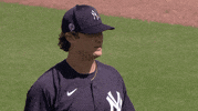 Ny Yankees GIF by Jomboy Media