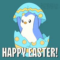 Easter Eggs Penguin GIF by Pudgy Penguins