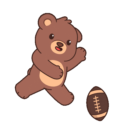 Super Bowl Win Sticker by BEARISH