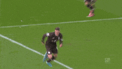 Viktor Fcsp GIF by FC St. Pauli