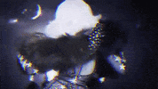 Amanda_Lepore music music video model blonde GIF