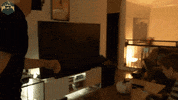 Twitch Reaction GIF by Hyper RPG
