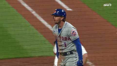 Celebrate Lets Go GIF by SNY