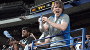 Football Fan GIF by Georgia State University