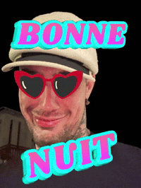 TeiNix bye nuit bonne teinix GIF