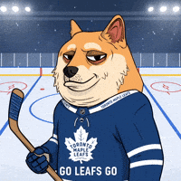 Ice Hockey GIF by Doge Pound