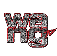 wangusa Sticker by Alexander Wang