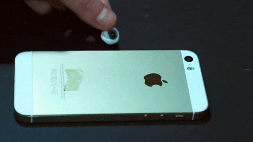 GIF by PBS