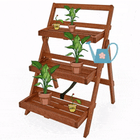 DeubaXXL blumen deubaxxl blumentreppe GIF